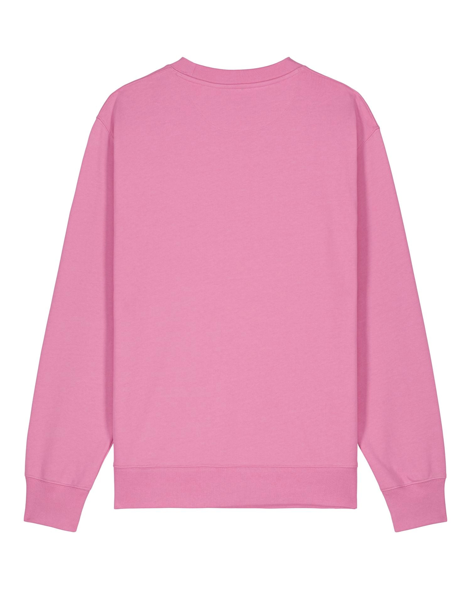Unisex Organic Crewneck Sweatshirt 350 GSM | Changer 2.0 SASU004