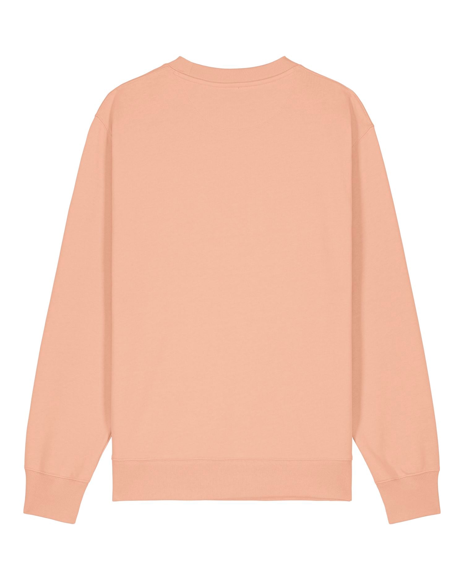 Unisex Organic Crewneck Sweatshirt 350 GSM | Changer 2.0 SASU004