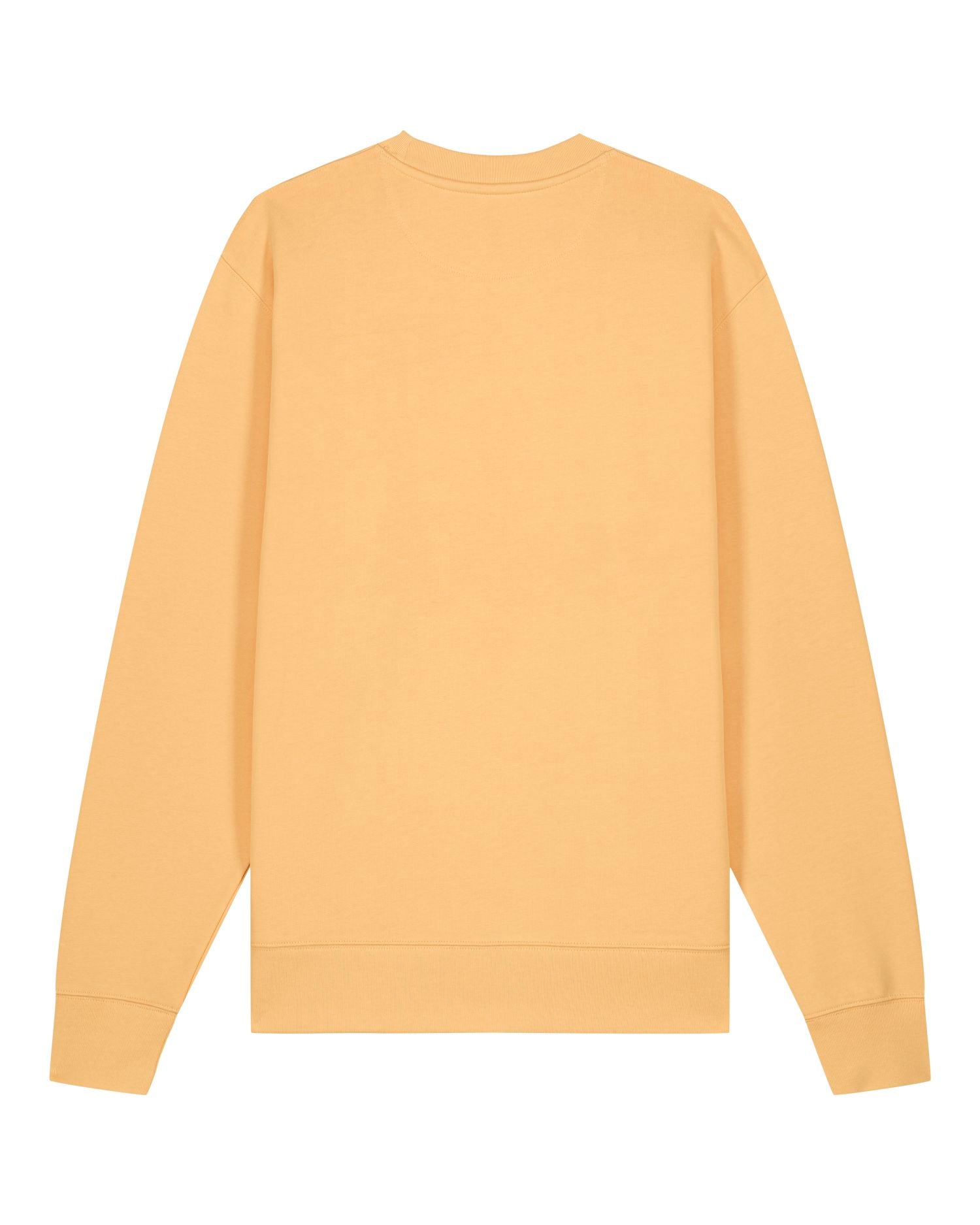 Unisex Organic Crewneck Sweatshirt 350 GSM | Changer 2.0 SASU004