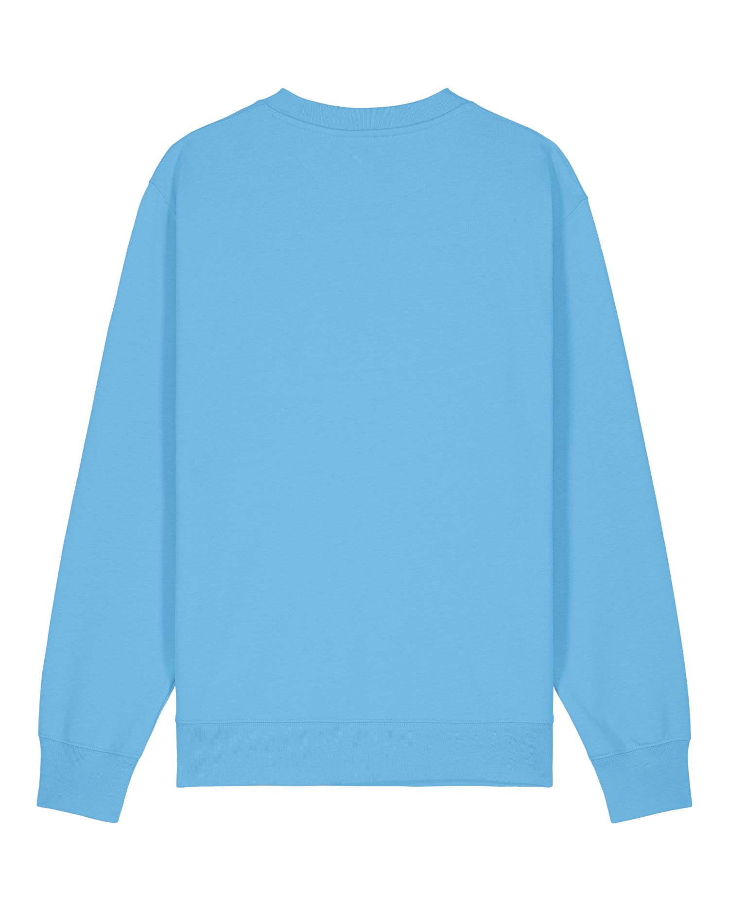 Unisex Organic Crewneck Sweatshirt 350 GSM | Changer 2.0 SASU004