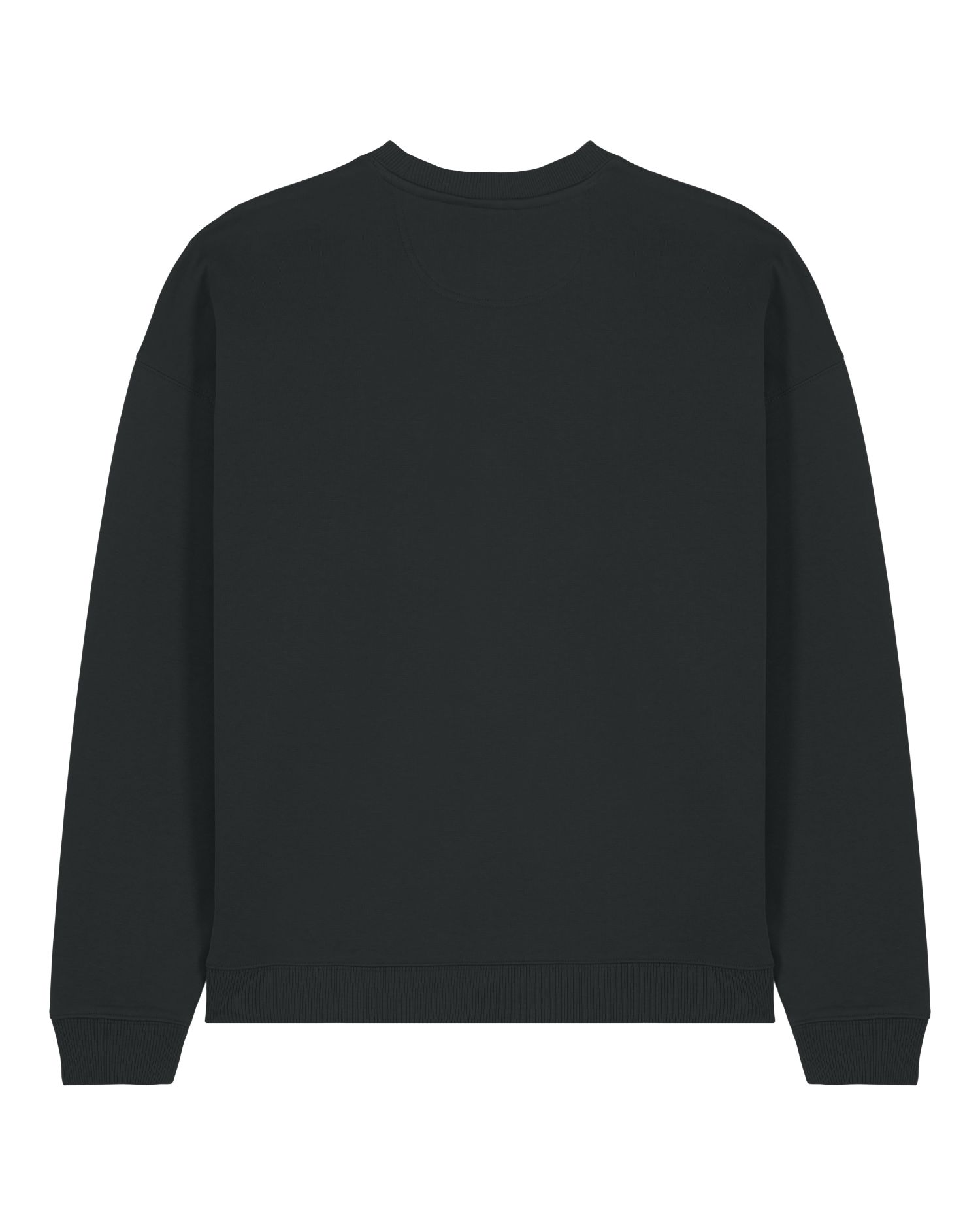 Oversized Organic Crewneck Sweatshirt | Radder 2.0 SASU025