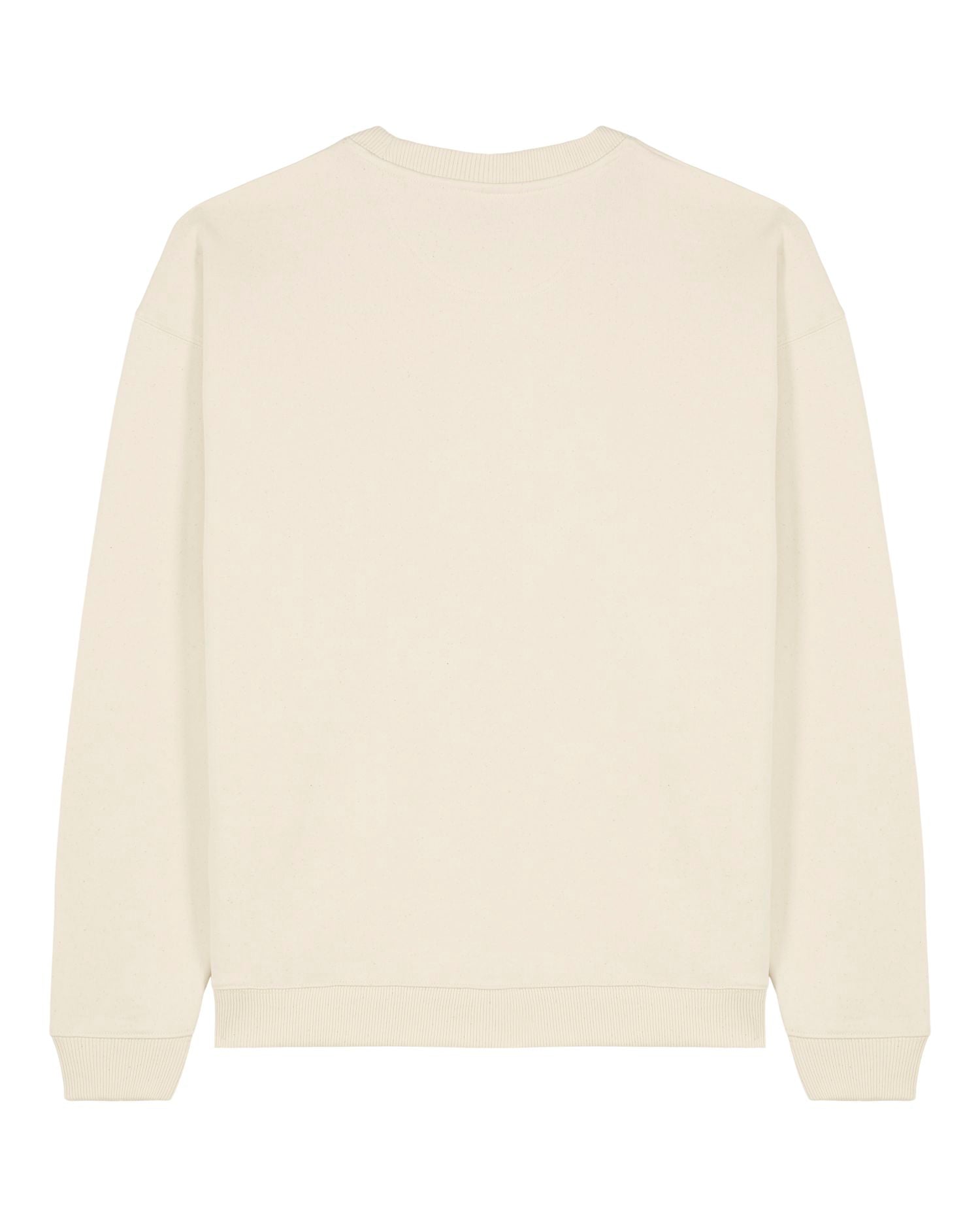 Oversized Organic Crewneck Sweatshirt | Radder 2.0 SASU025