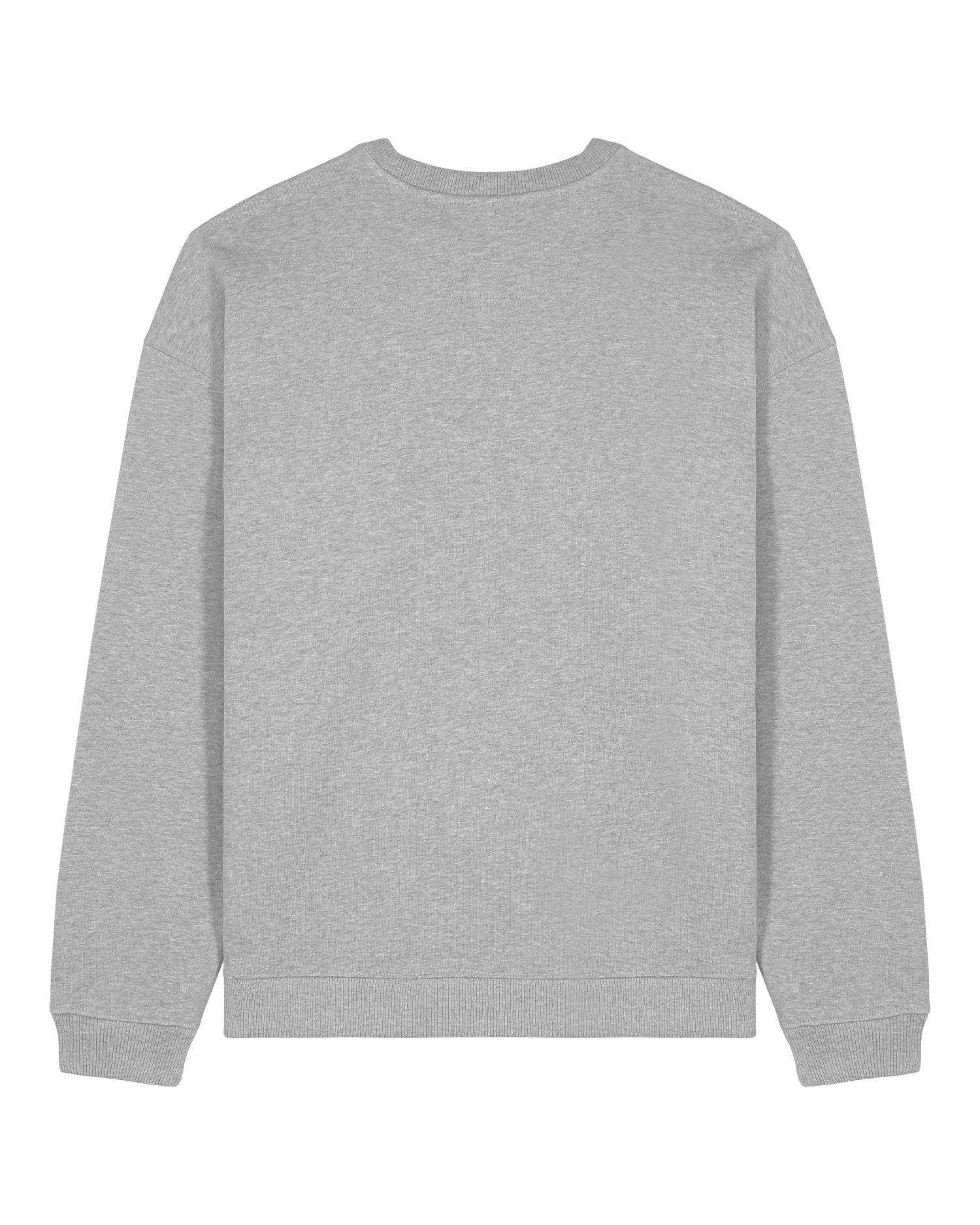 Oversized Organic Crewneck Sweatshirt | Radder 2.0 SASU025