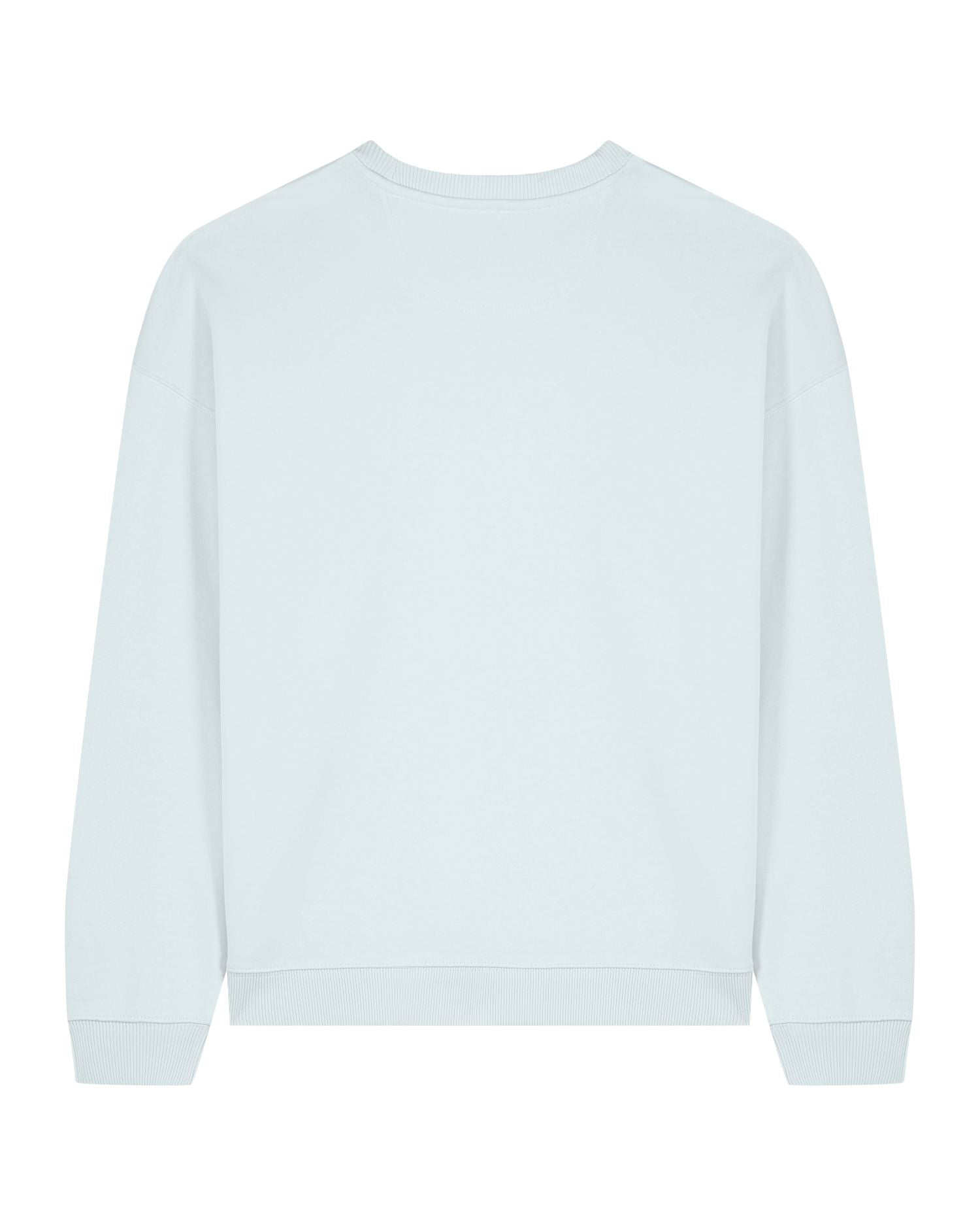 Oversized Organic Crewneck Sweatshirt | Radder 2.0 SASU025