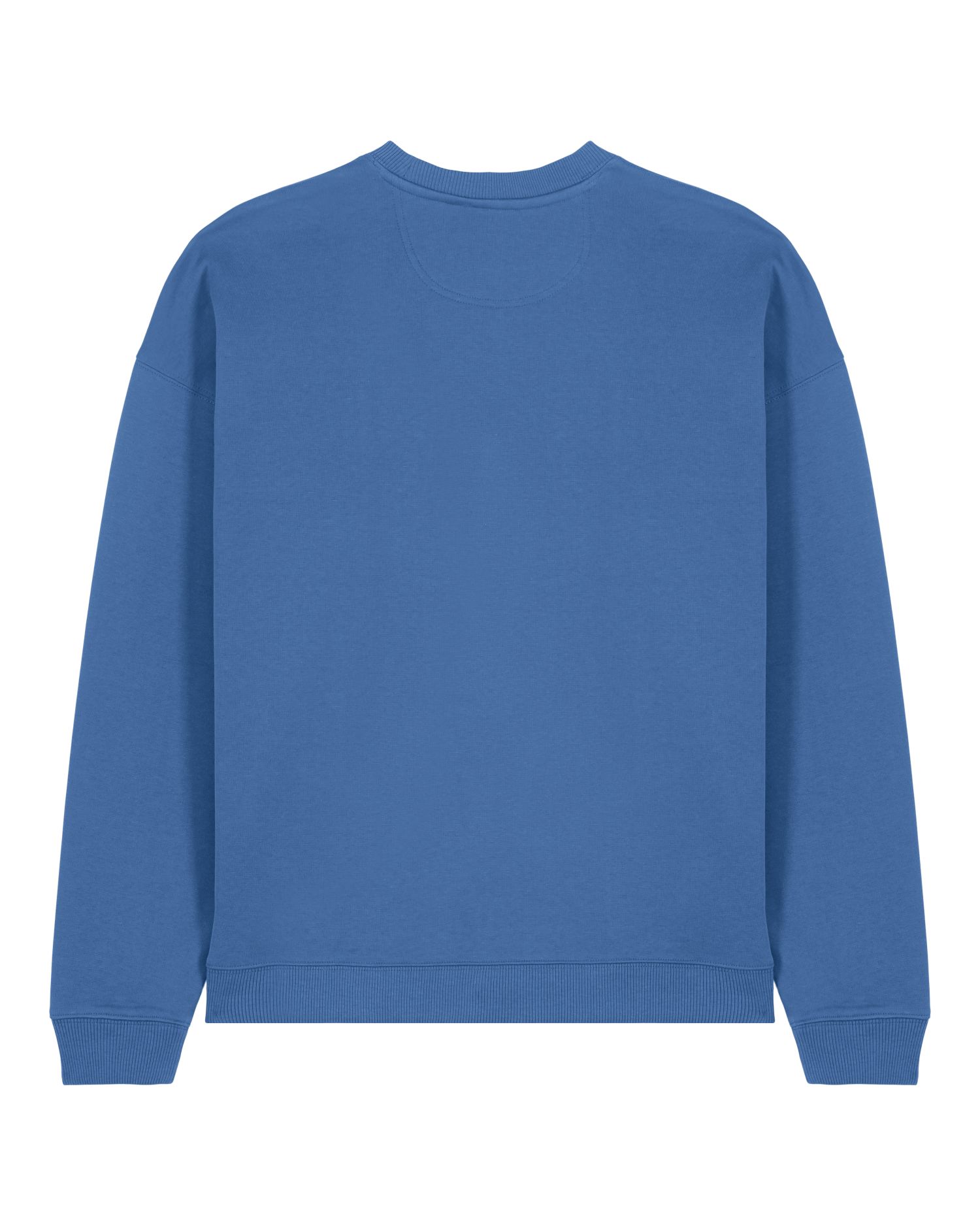Oversized Organic Crewneck Sweatshirt | Radder 2.0 SASU025