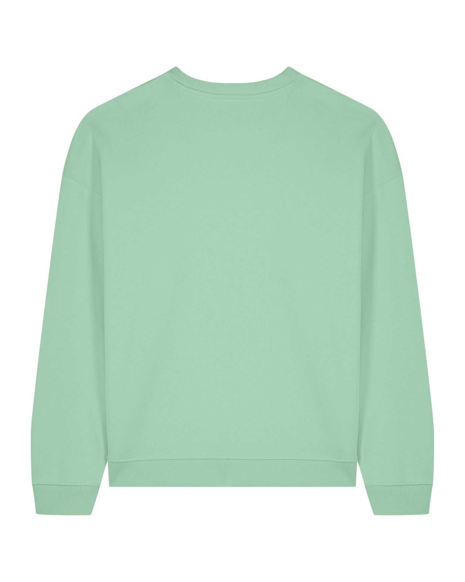 Oversized Organic Crewneck Sweatshirt | Radder 2.0 SASU025