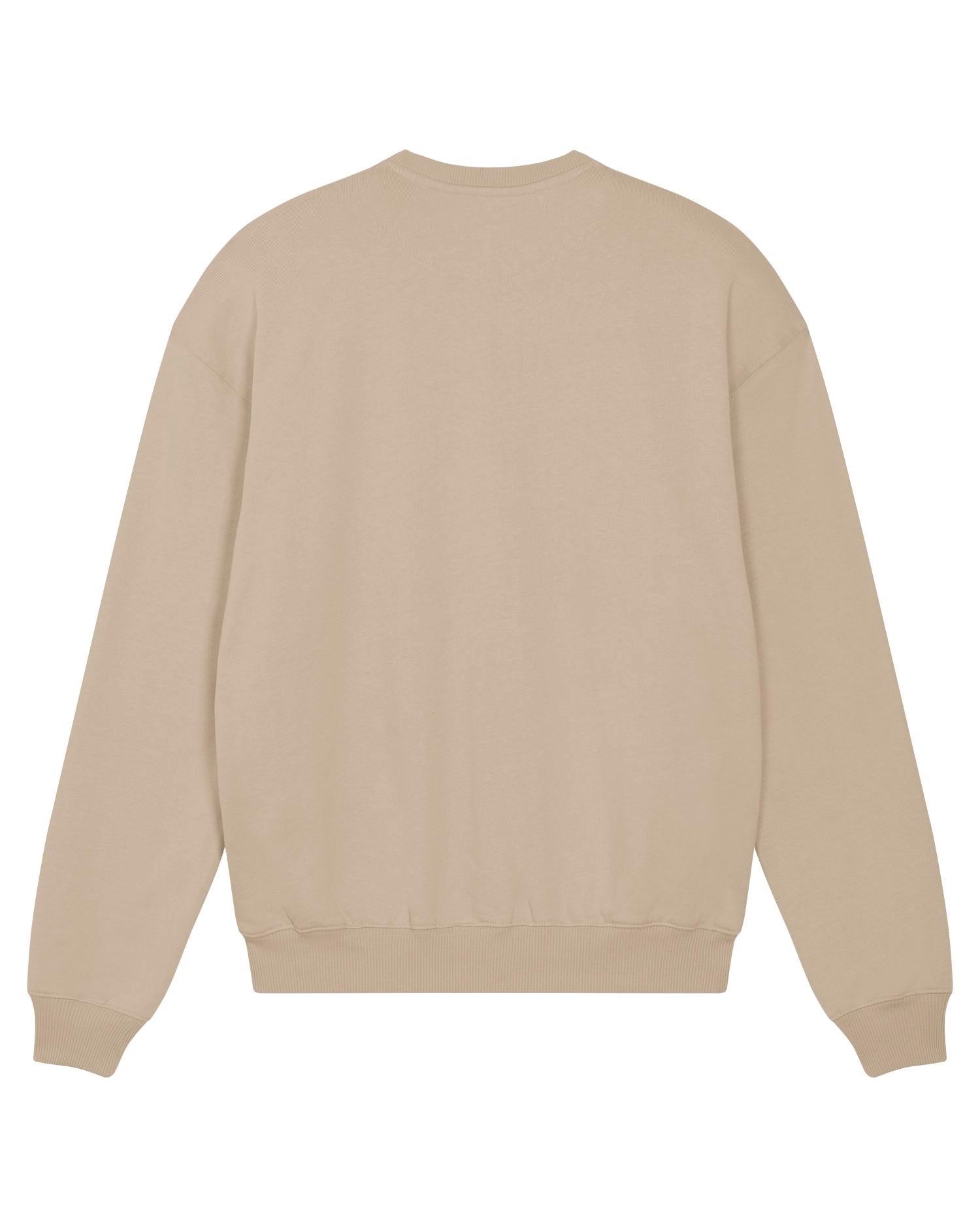 Oversized French Terry Crewneck 400 GSM | Ledger Dry SASU029