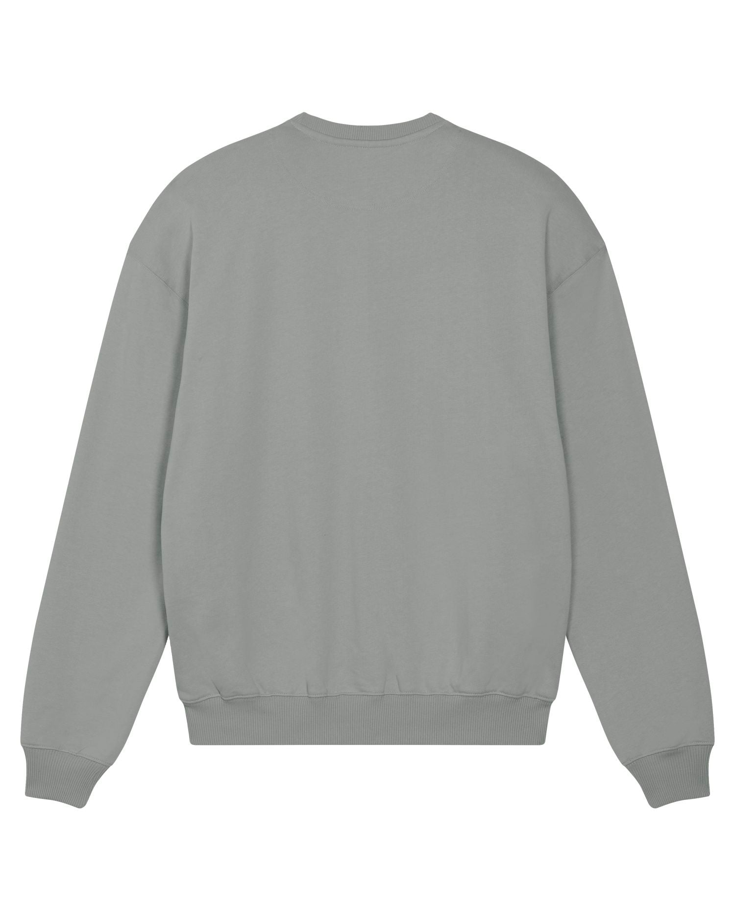 Oversized French Terry Crewneck 400 GSM | Ledger Dry SASU029