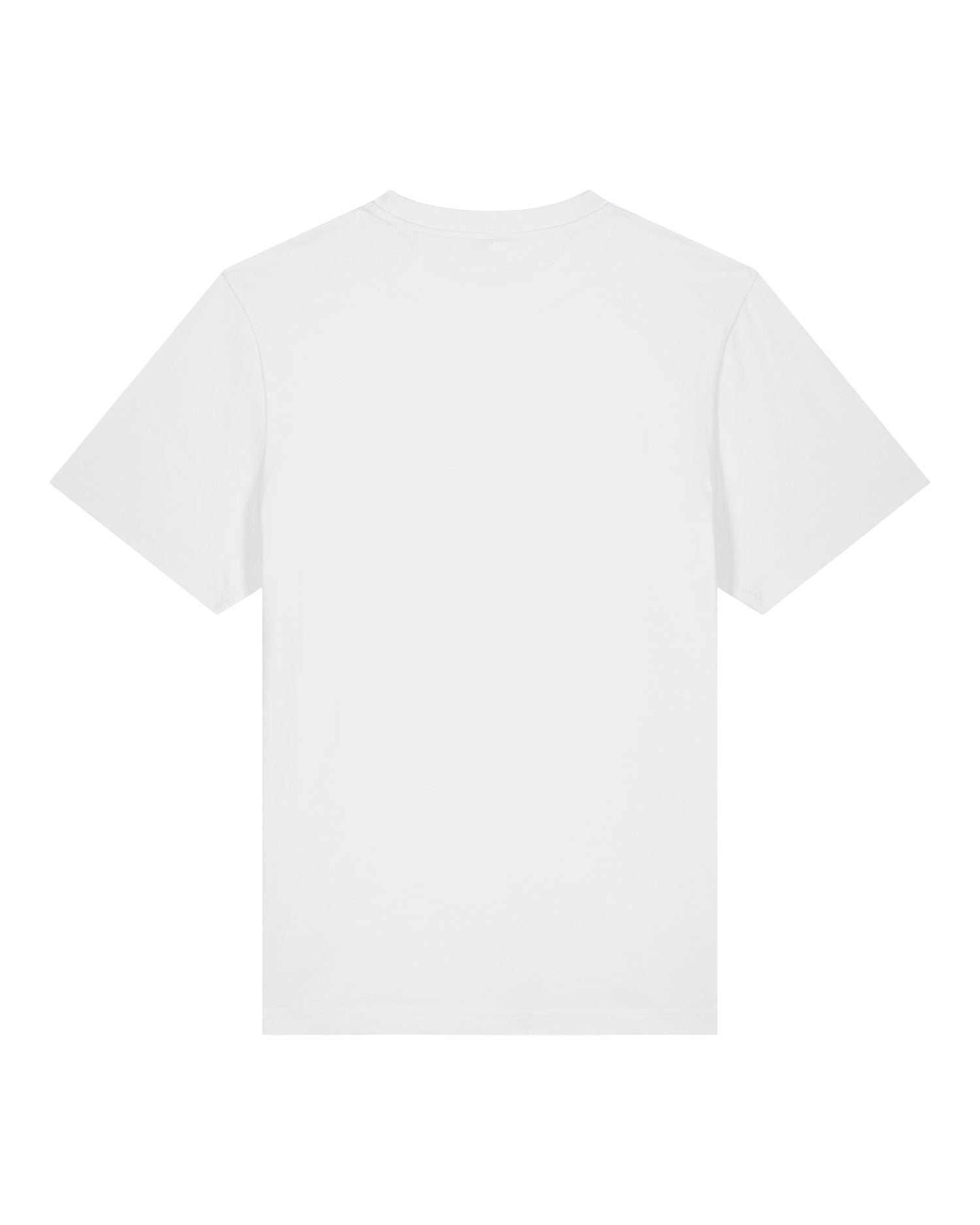 Relaxed Fit Heavyweight Organic T-Shirt | Sparker 2.0 SATU017