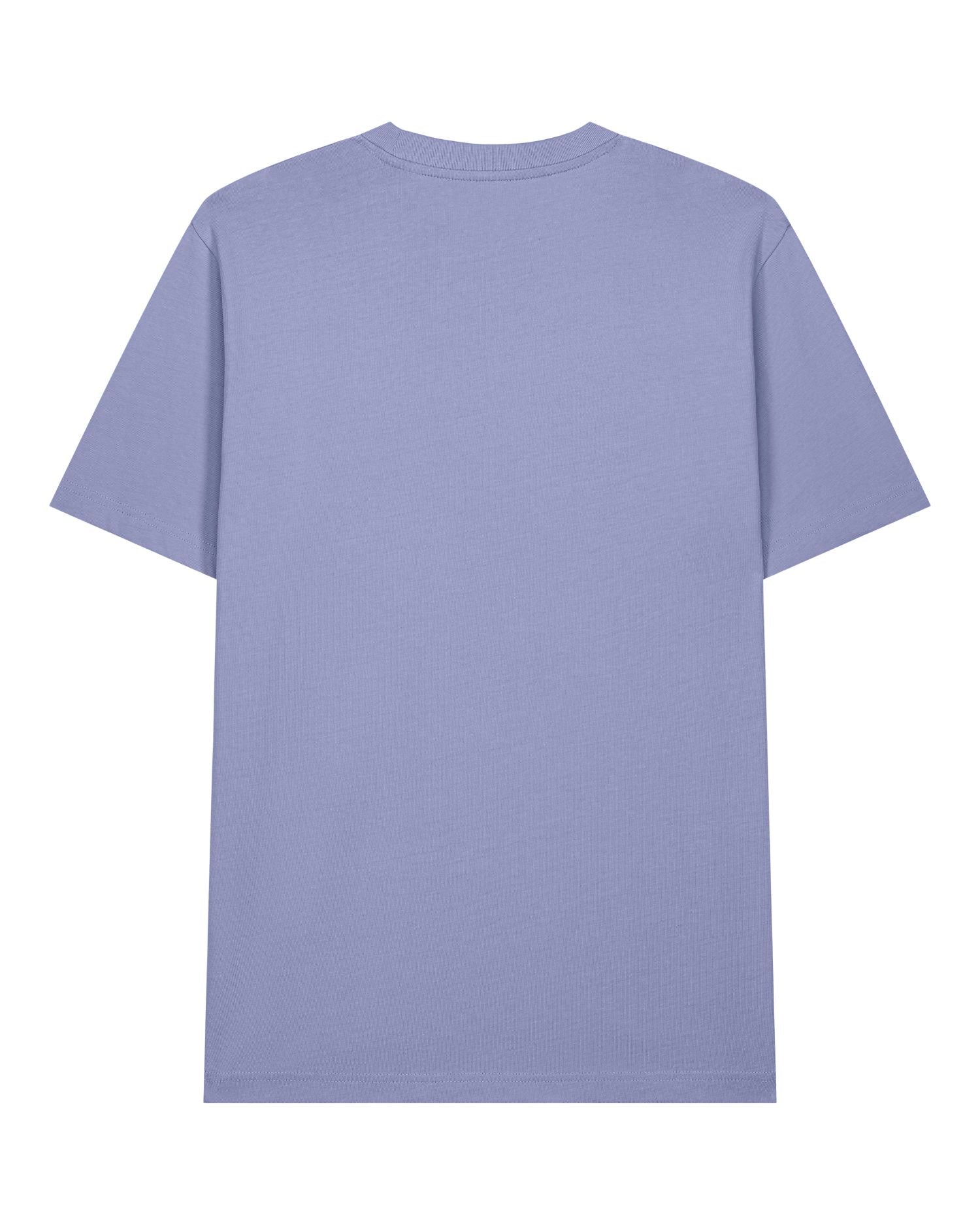 Relaxed Fit Heavyweight Organic T-Shirt | Sparker 2.0 SATU017
