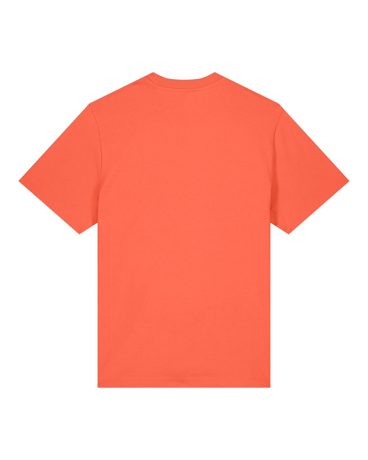 Relaxed Fit Heavyweight Organic T-Shirt | Sparker 2.0 SATU017