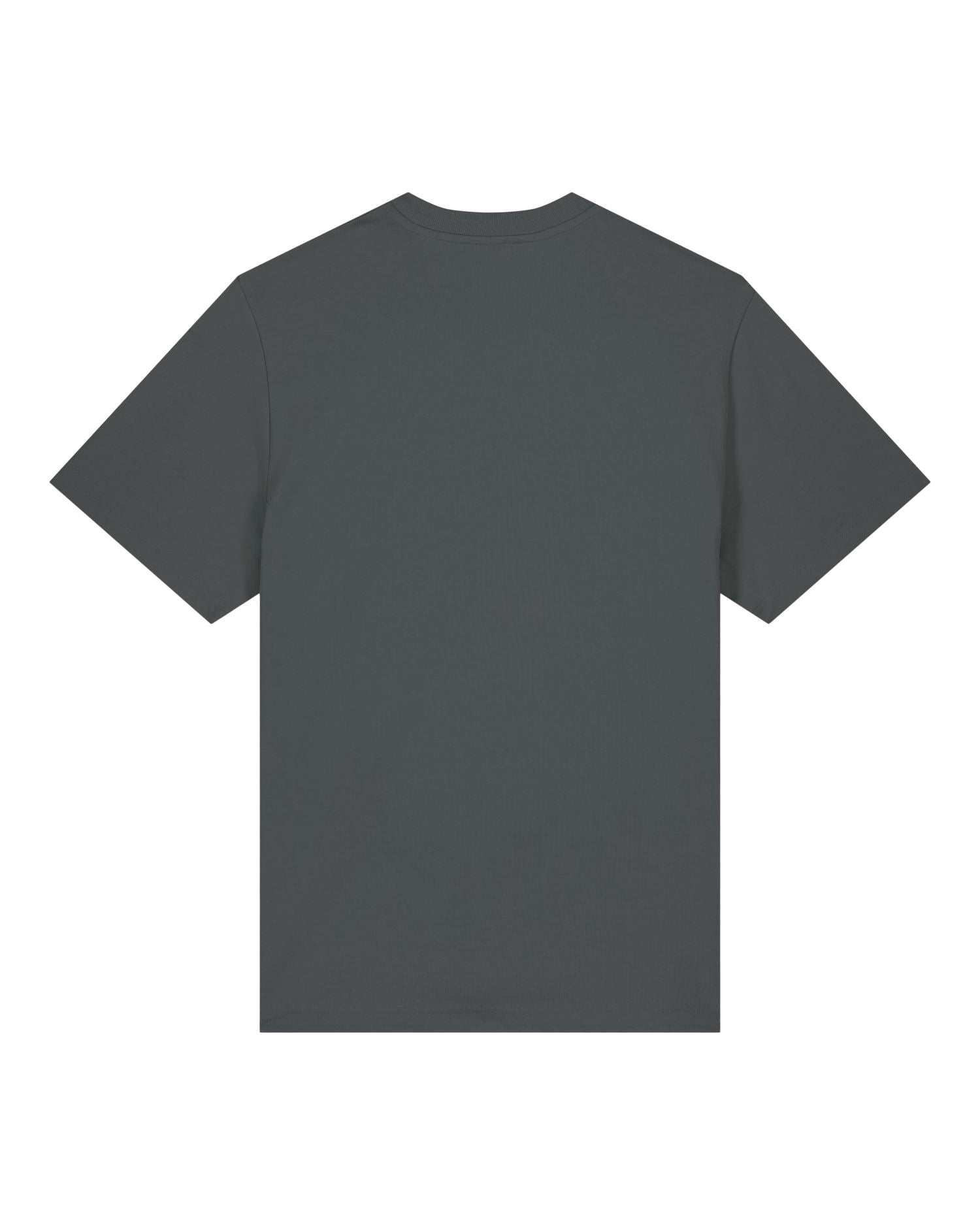 Relaxed Fit Heavyweight Organic T-Shirt | Sparker 2.0 SATU017