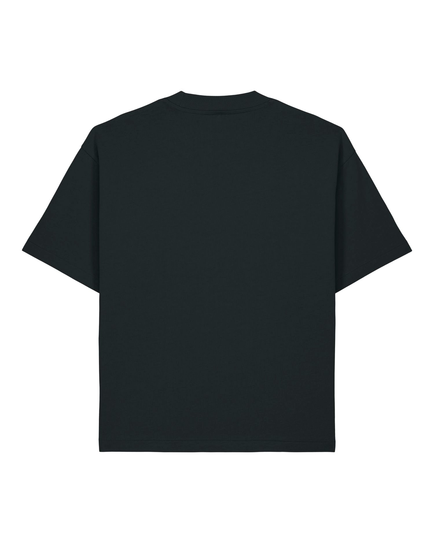 Oversized Boxy Heavyweight T-Shirt | Asher SATU039