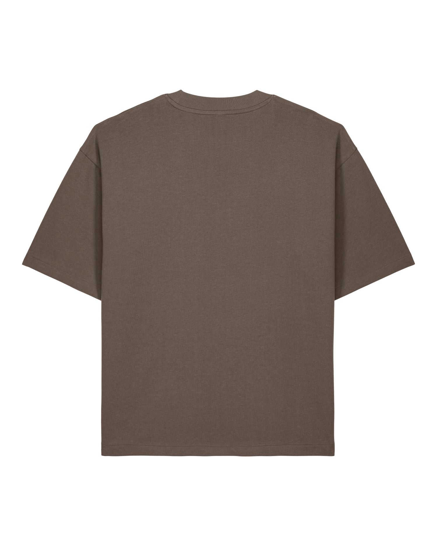 Oversized Boxy Heavyweight T-Shirt | Asher SATU039