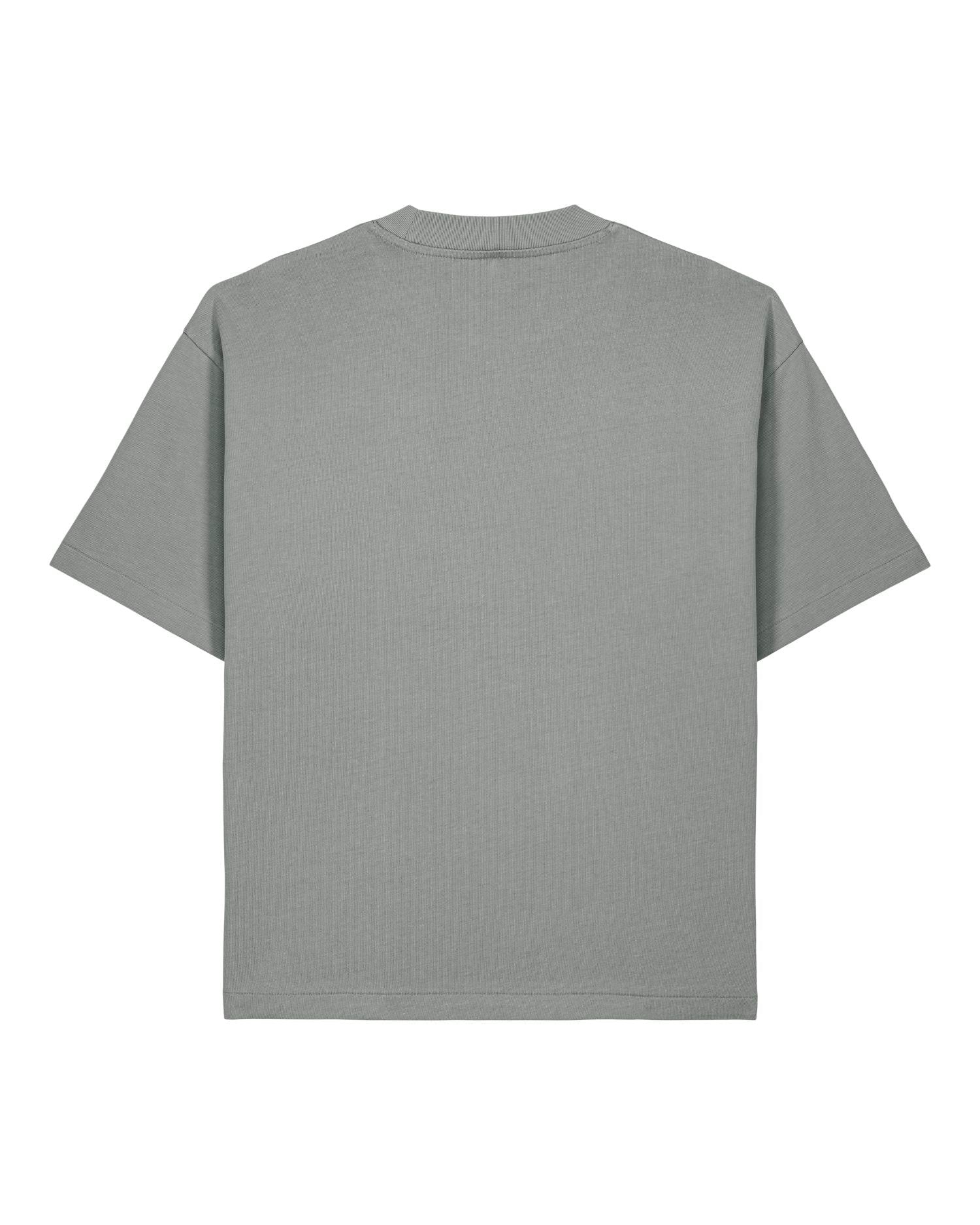 Oversized Boxy Heavyweight T-Shirt | Asher SATU039