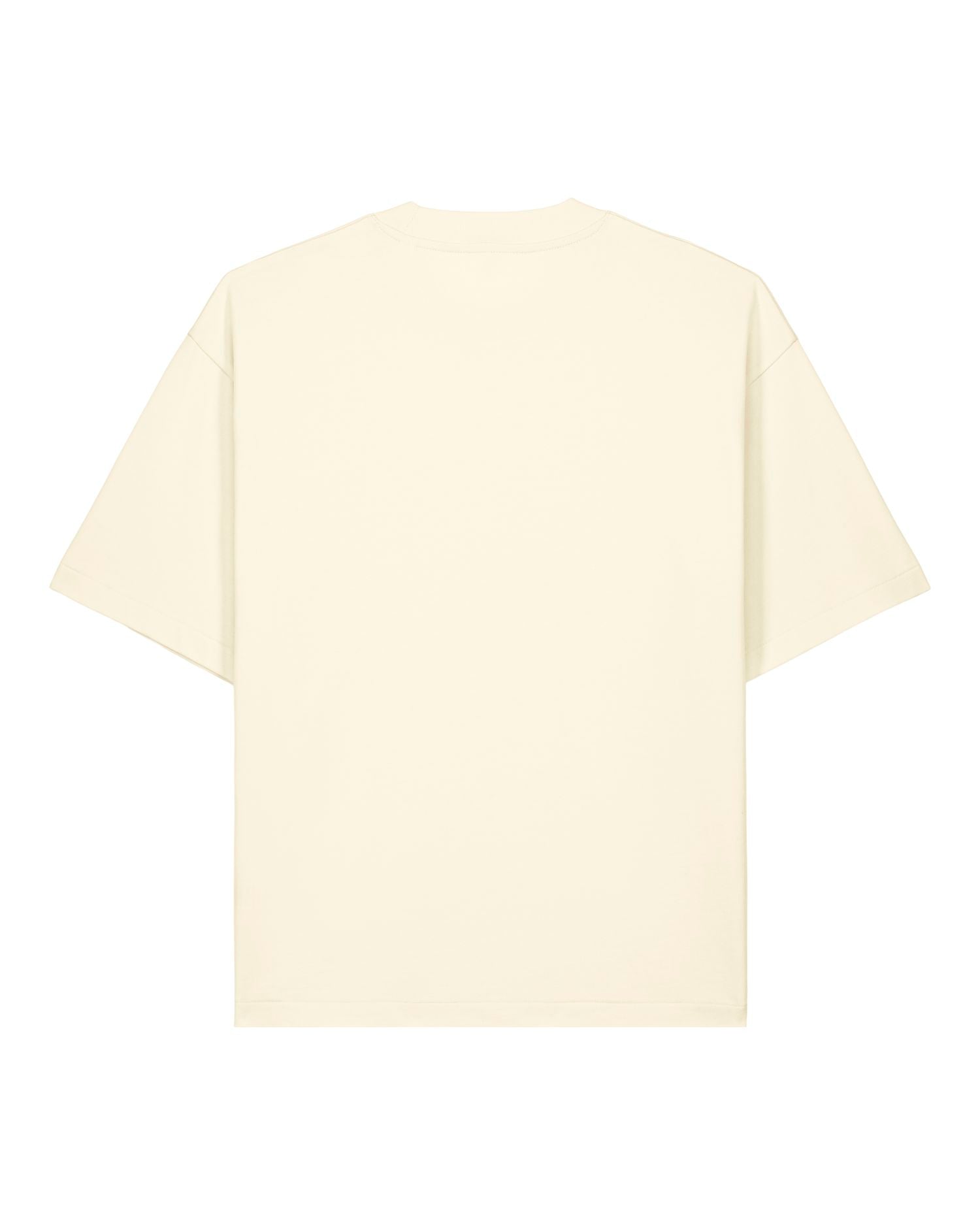 Oversized Boxy Heavyweight T-Shirt | Asher SATU039