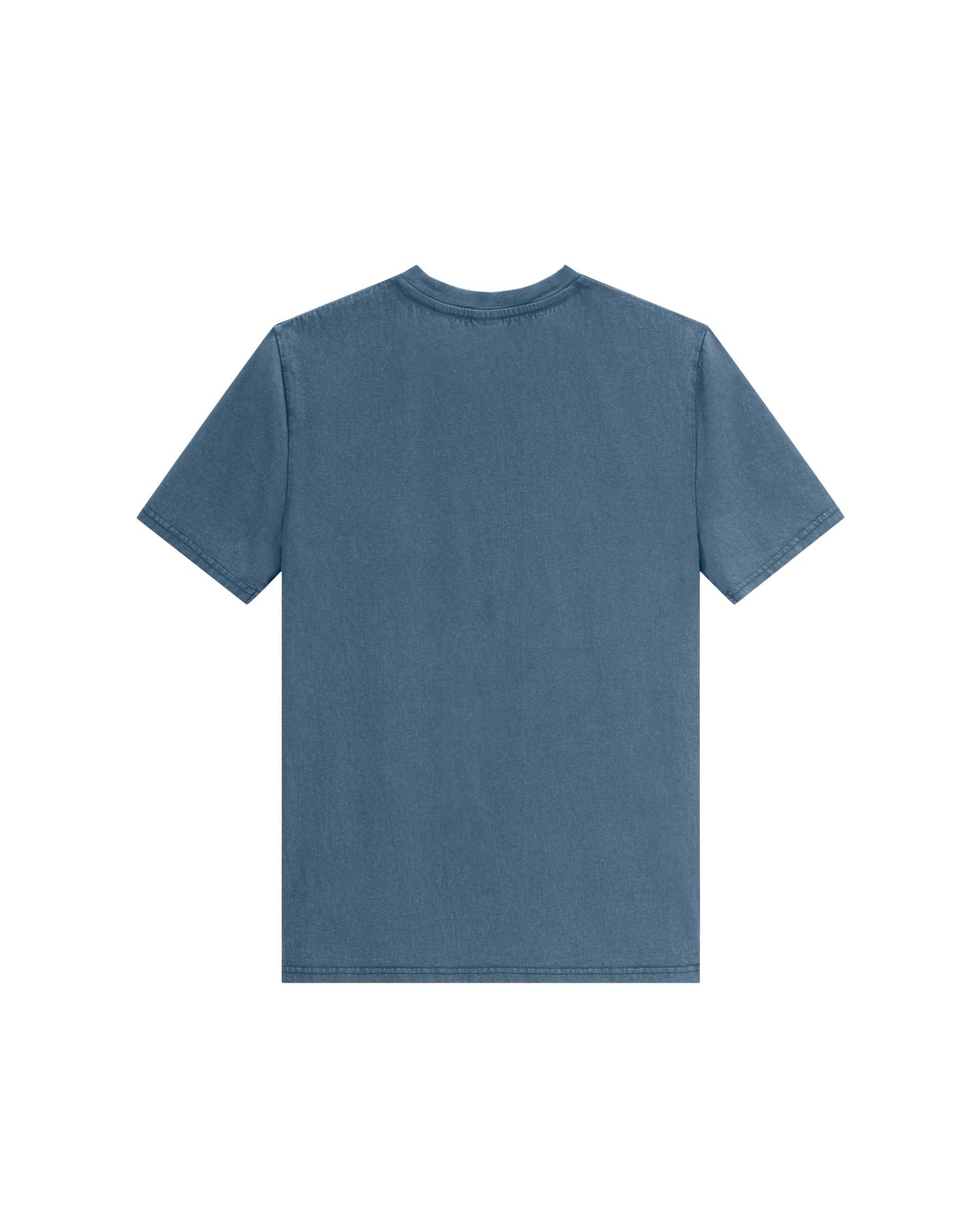 Garment-Dyed Organic Cotton T-Shirt | Creator 2.0 Vintage SATU041