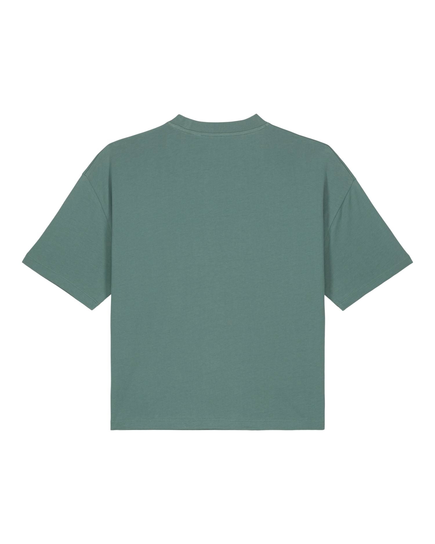 Women's Relaxed Boxy Organic T-Shirt | Stella Nova SATW030