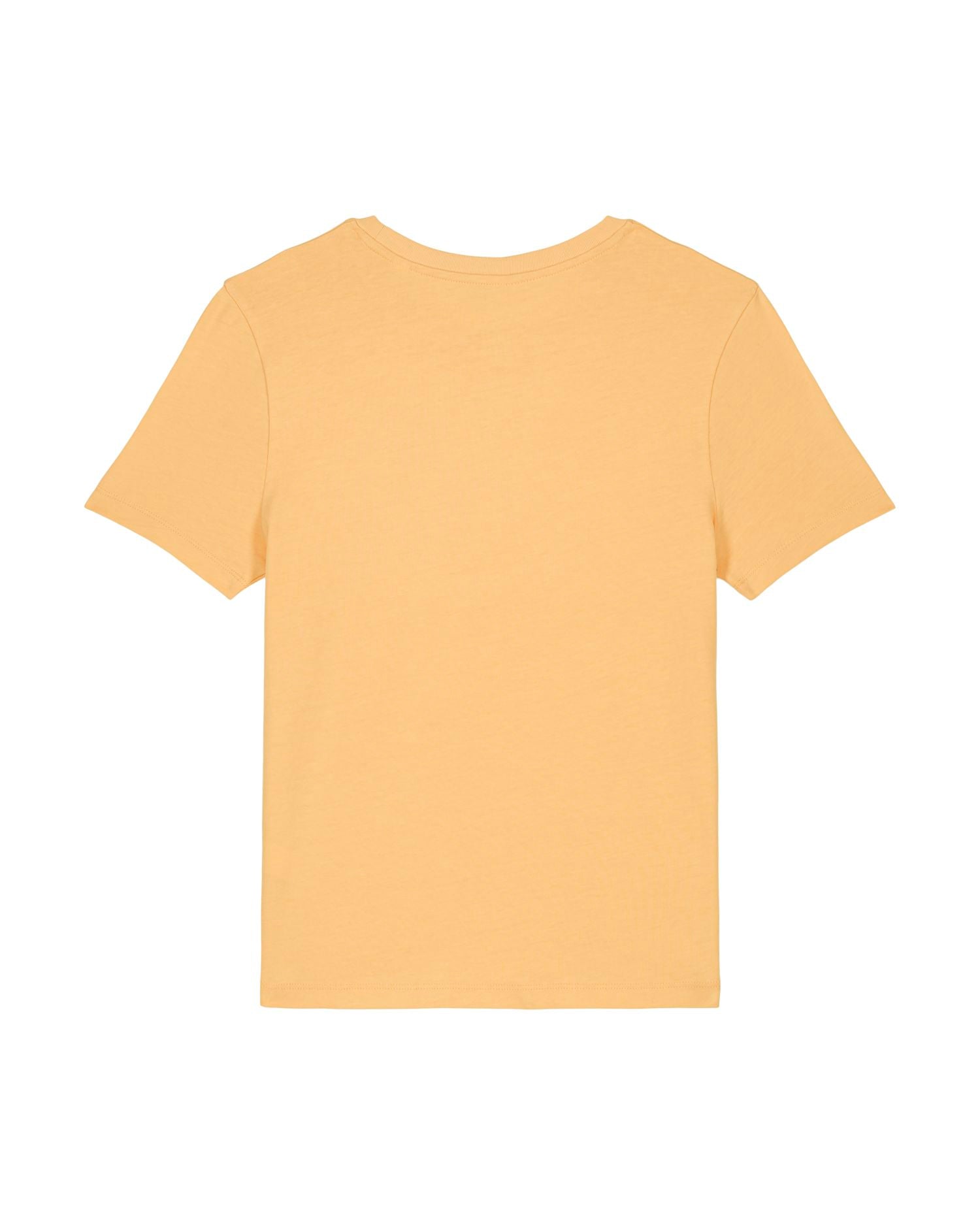 Women's Fitted Organic T-Shirt | Stella Ella SATW031