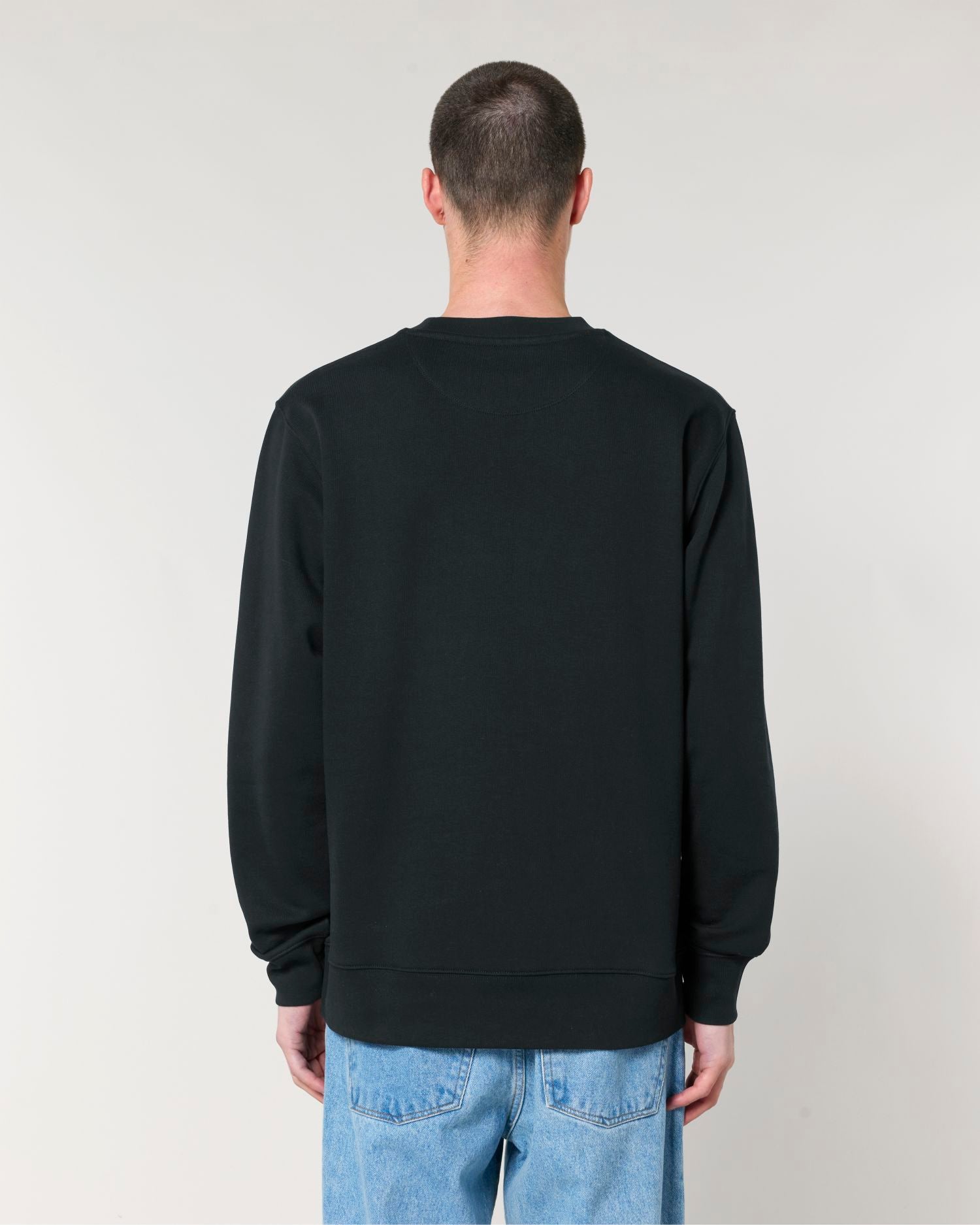 Unisex Organic Crewneck Sweatshirt 350 GSM | Changer 2.0 SASU004