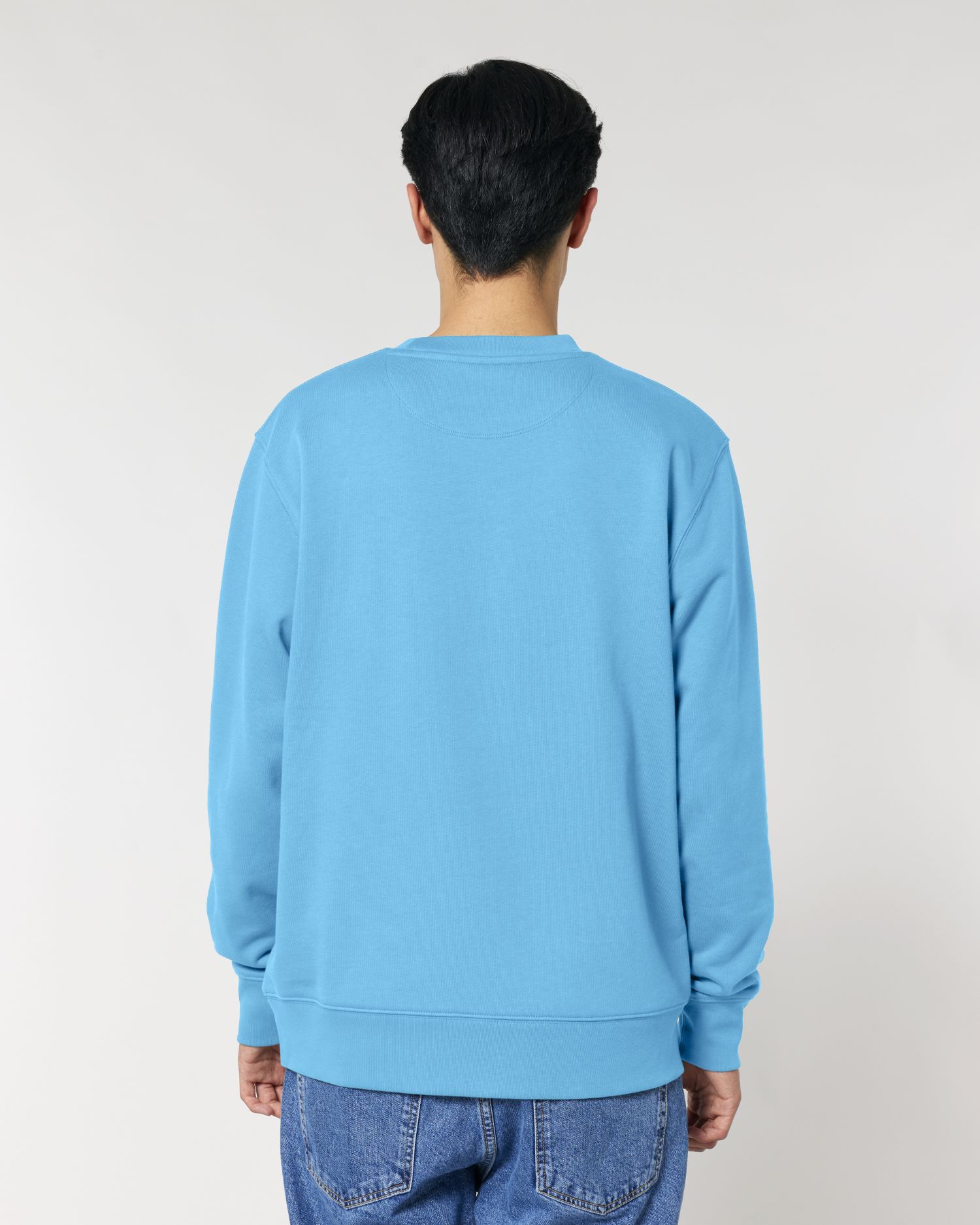 Unisex Organic Crewneck Sweatshirt 350 GSM | Changer 2.0 SASU004