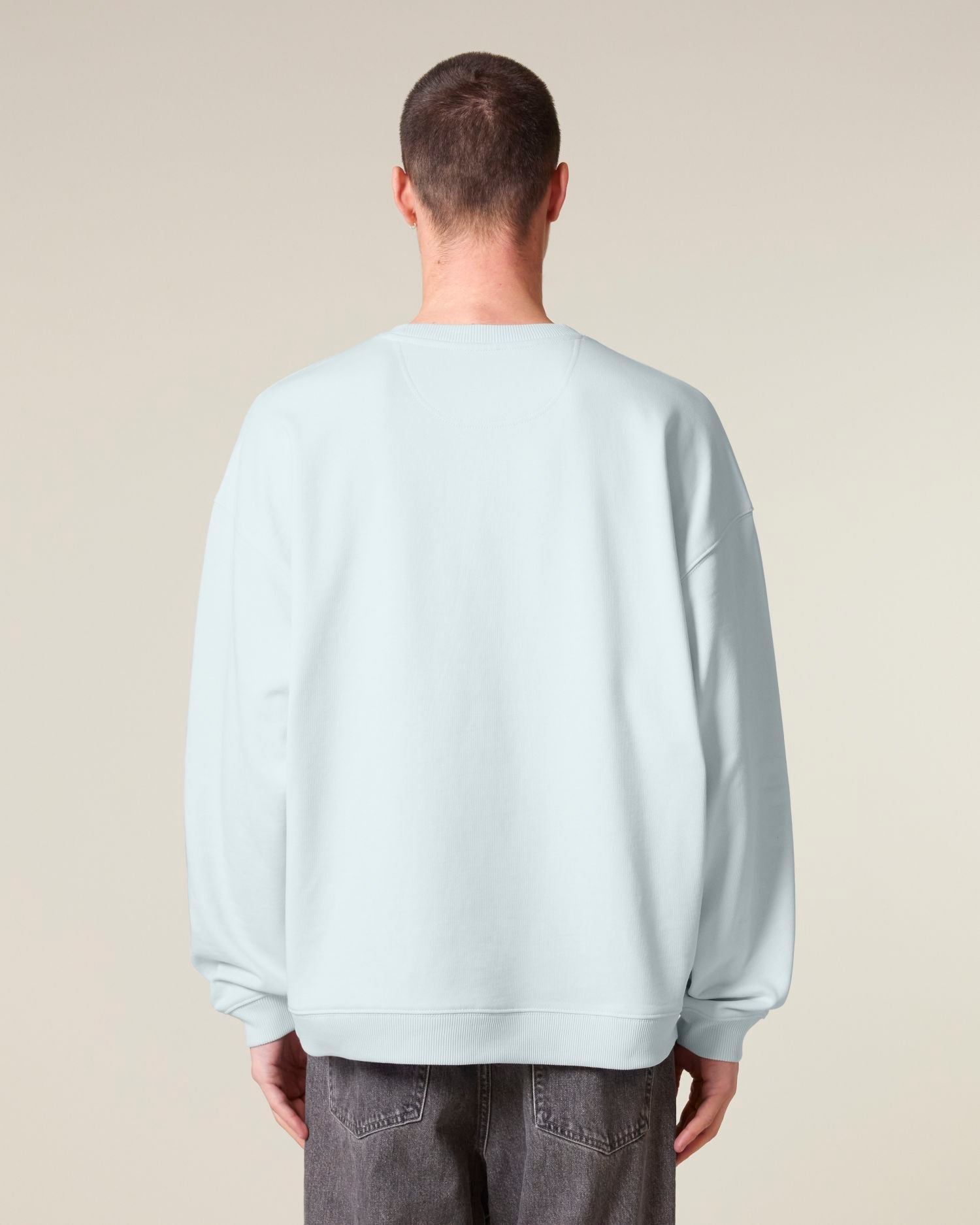 Oversized Organic Crewneck Sweatshirt | Radder 2.0 SASU025