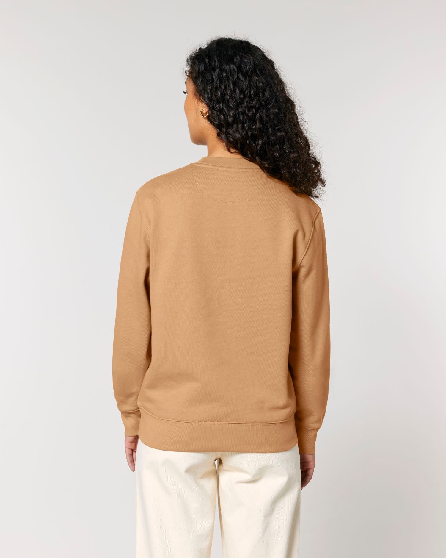 Unisex Organic Crewneck Sweatshirt 350 GSM | Changer 2.0 SASU004