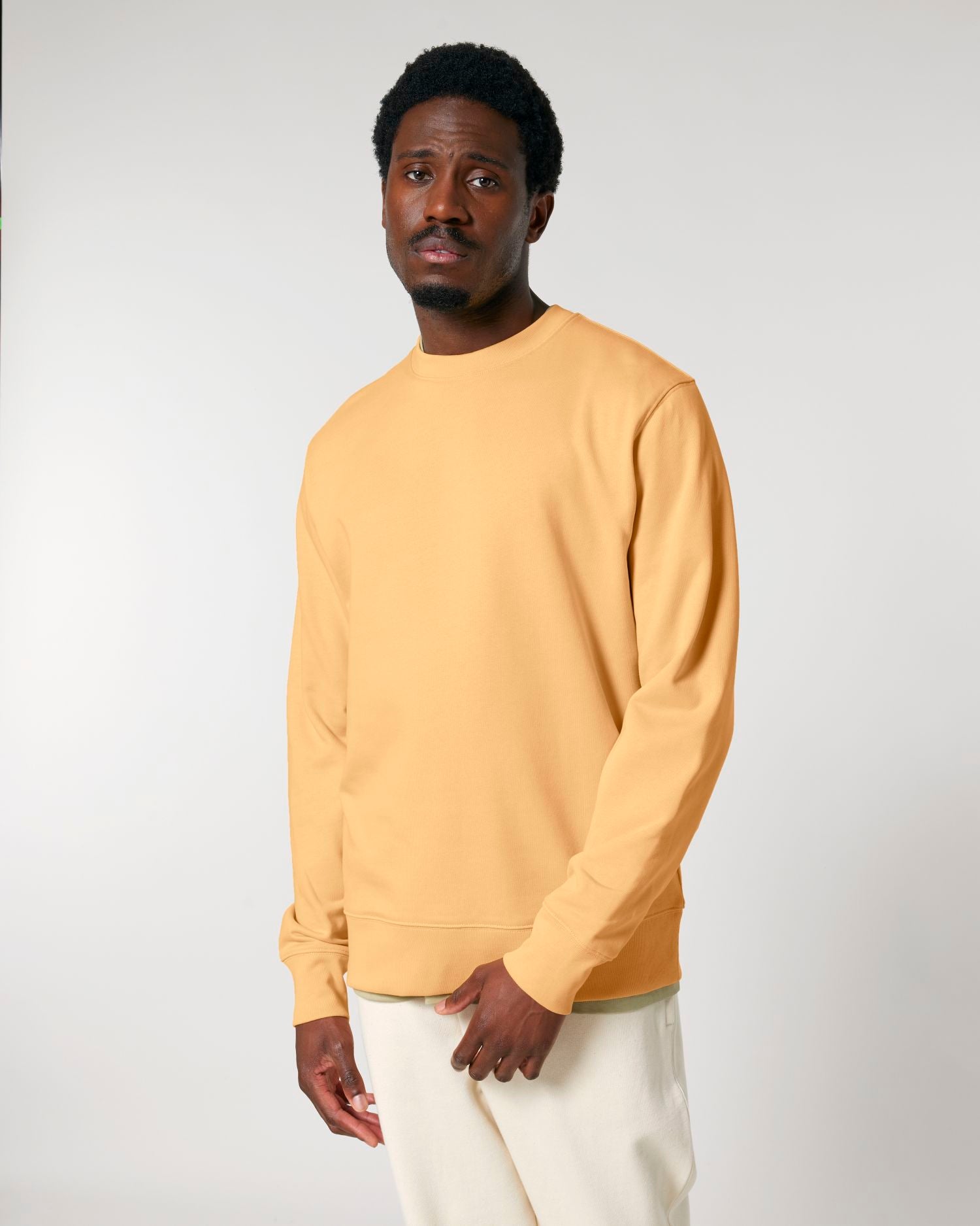 Unisex Organic Crewneck Sweatshirt 350 GSM | Changer 2.0 SASU004
