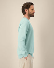 Midweight Organic Crewneck Sweatshirt | Roller SASU010