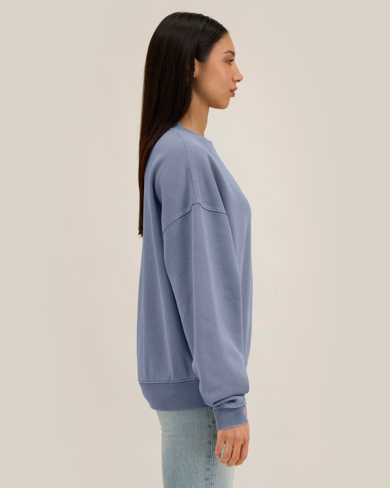 Garment-Dyed Crewneck Sweatshirt | Easer Vintage SASU043